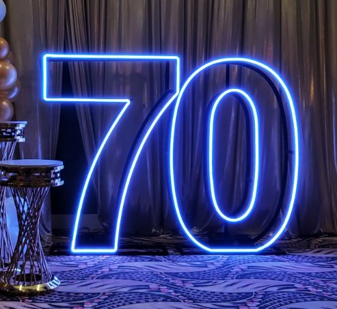 Neon Flex Numeral Light Sign